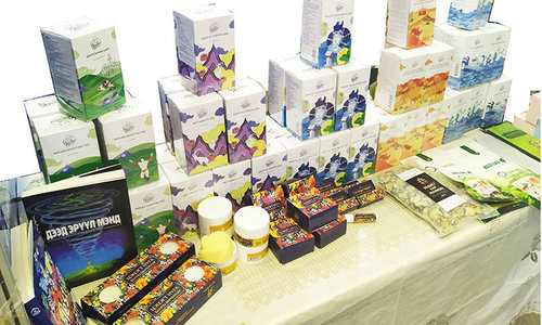 Дотоодын үйлдвэрлэгчид, салбарын мэргэжлийн холбоодын анхааралд