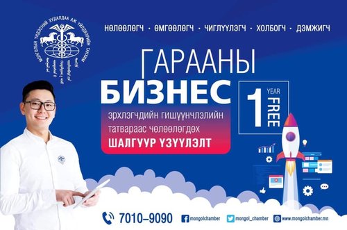 Стартап ангилалд ямар компаниудыг хамруулах вэ?