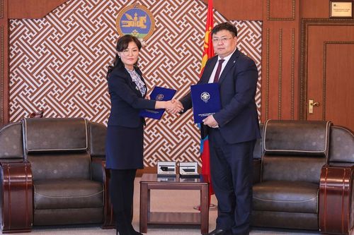 Зөв бичих дүрмийн программ боловсруулна