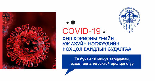 Хөл хорионы үеийн аж ахуйн нэгжүүдийн нөхцөл байдлын судалгаа