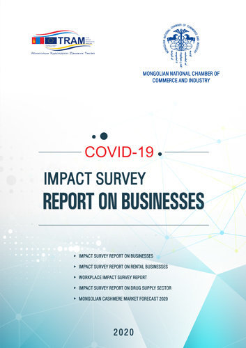 Covid-19 impact survey Report on Businesses