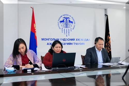 Гадаадын хөрөнгө оруулалтын тухай хуулийн шинэчилсэн найруулгын төсөлд санал авах хэлэлцүүлгийг МҮХАҮТ цахимаар зохион байгууллаа