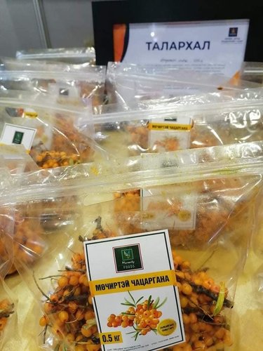 mongolchamber/image/2021/10/02/tzcu2x4taem0u9ni/244281113_14