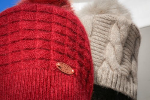 mongolchamber/image/2021/10/18/8wv6eyqktwo6q4wf/246339449_8