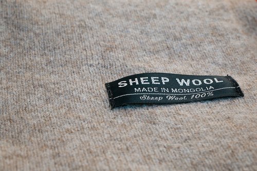 mongolchamber/image/2021/10/18/sc7jro1ji53hqkqi/246339449_4