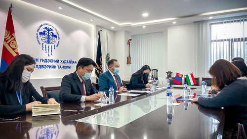 МҮХАҮТ-ын Ерөнхийлөгч О.Амартүвшин Унгар Улсаас Монгол Улсад суугаа онц бөгөөд бүрэн эрхт элчин сайд Борбала Анна Обрушанскитай уулзлаа
