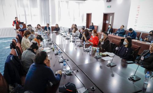 МҮХАҮТ-ын дэргэдэх Ноос ноолуурын зөвлөлийн 2022 оны төлөвлөгөөг баталлаа