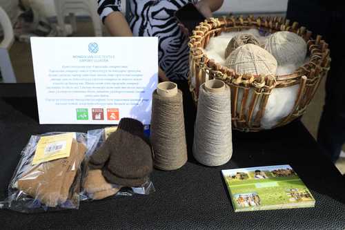 mongolchamber/image/2022/09/12/g8t14p7nra0rl3g3/305559421_20