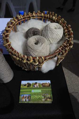 mongolchamber/image/2022/09/12/p4bdgvl8dj5jhq9p/305559421_32