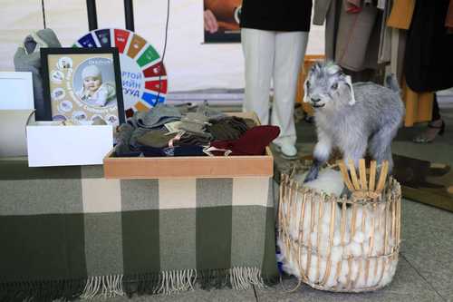 mongolchamber/image/2022/09/12/vx9u51lhps0a2yoe/305559421_56