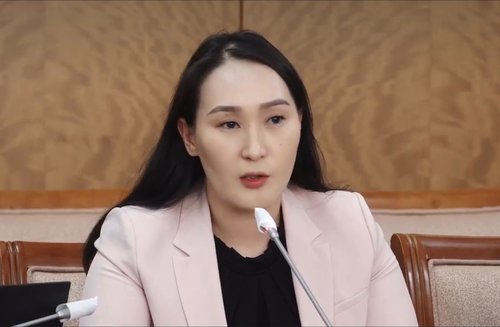 Д.Баясгалан: Ур чадвартай залуусыг зөв ажлын байран дээрээ ажиллах боломжийг бүрдүүлэх нь чухал